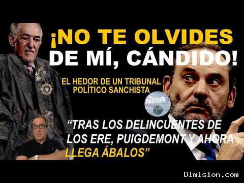 [La8 Zaragoza] (septiembre 30, 2026) EL Hedor DE LAS Togas PolíTicas DEL Constitucional Crece POR Momentosábalos Confía EN Pumpido