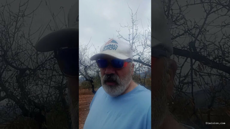 [Un Murciano Encabronao f7b] (octubre 18, 2026) lo que mando al WhatsApp cuanfo me llegan mensajes