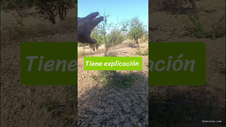 [Un Murciano Encabronao f7b] (octubre 13, 2026) Agrostreaming o podatube