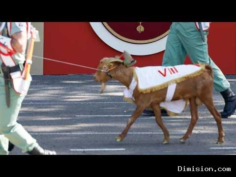 [The Objective] (octubre 12, 2026) Los legionarios desfilan acompañados de la cabra de la Legión, Babieca