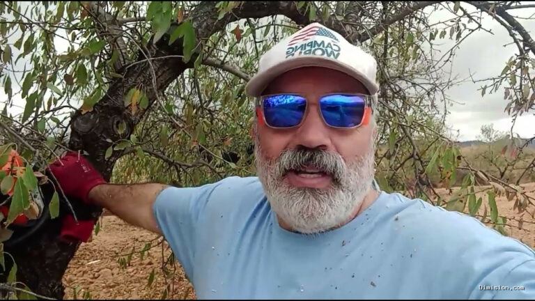 [Raul un murciano] (octubre 18, 2026) Te quiero Begoña